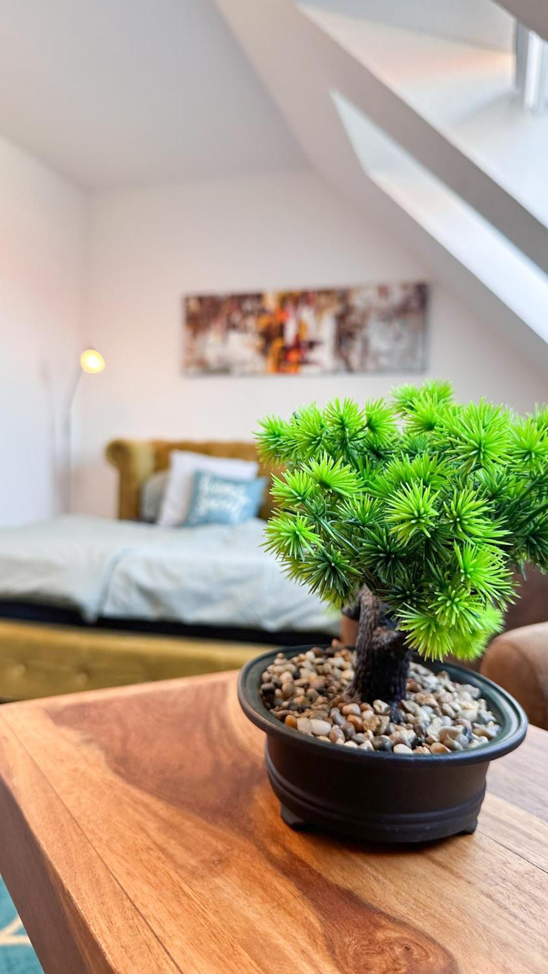 Homestayplus Schwerin シュヴェリーン エクステリア 写真